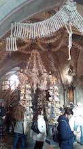IMG_20191201_115618 másolata.jpg